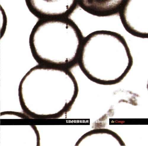 Lugubrum - Albino De Congo